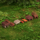 Bear Mountain Camping Adventure: Wildlife Expansion - Order By November 8th!
